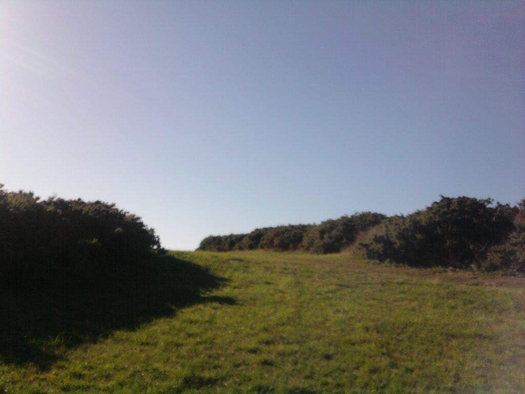 photo0324